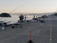 εικόνα_Viber_2025-07-10_19-38-21-331